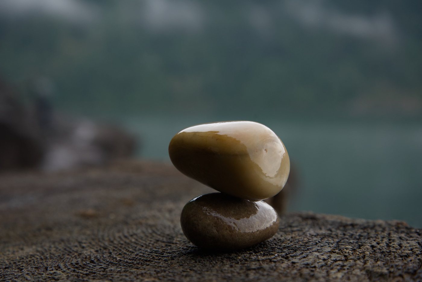 Close view of two wet balanced stones on the growth rings of a cut stump, the lake behind them thrown far out of focus